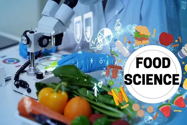 Food Processing 